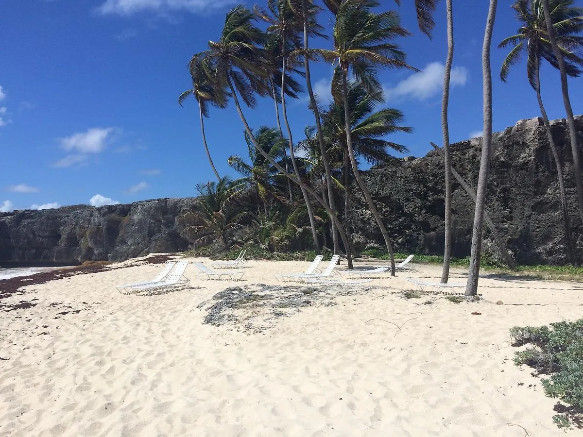 Stay Awhile Apartment Harrismith Barbados